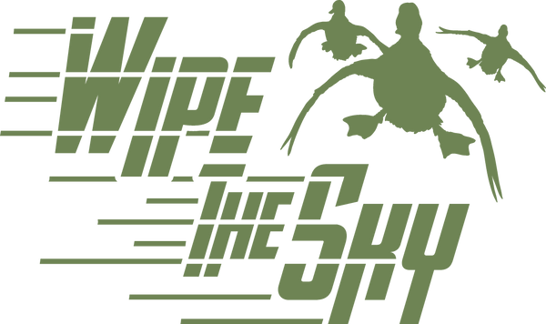 Wipe The Sky